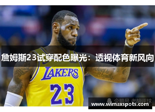 詹姆斯23试穿配色曝光：透视体育新风向